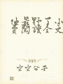 他最野了小说免费阅读全文封面