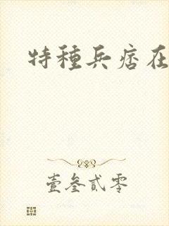 特种兵痞在都市