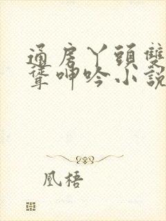 通房丫头双乳高耸呻吟小说