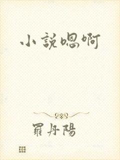 小说嗯啊封面