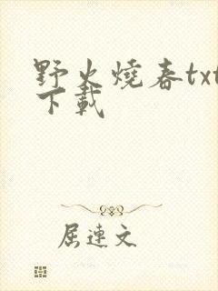 野火烧春txt下载