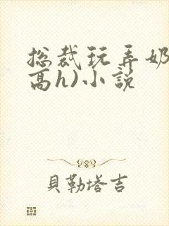 总裁玩弄奶头(高h)小说