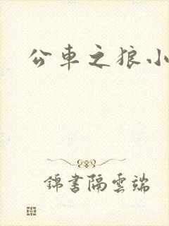 公车之狼小说