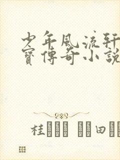 少年风流轩辕大宝传奇小说