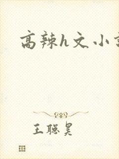 高辣h文小说网