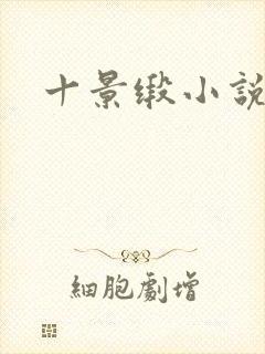 十景缎小说