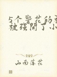 5个警花的初苞被强开了小说