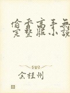 偷香高手无删减完整版小说
