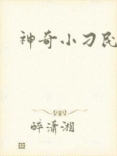 神奇小刁民