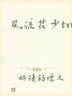 风流花少txt封面