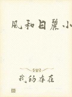 风和日丽小说