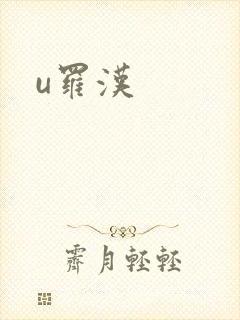 u罗汉封面
