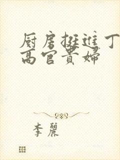 厨房挺进丁字裤高官贵妇