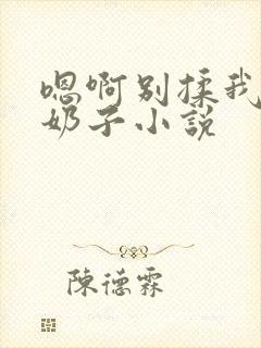 嗯啊别揉我的大奶子小说