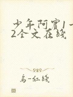 少年阿宾1一72全文在线