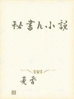 秘书h小说