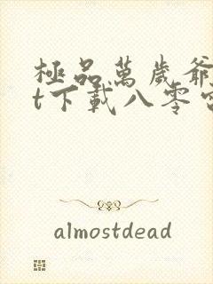 极品万岁爷txt下载八零电子书封面