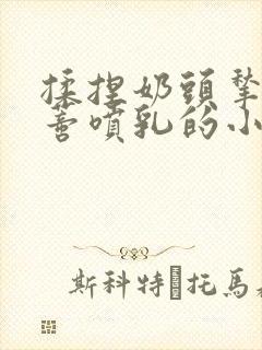 揉捏奶头揪扯阴蒂喷乳的小说