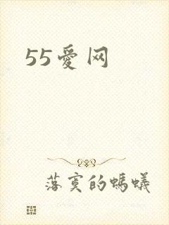 55爱网