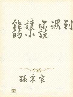 能让你湿到不行的小说