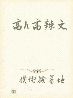 高h高辣文