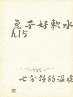兔子好软水好多h15