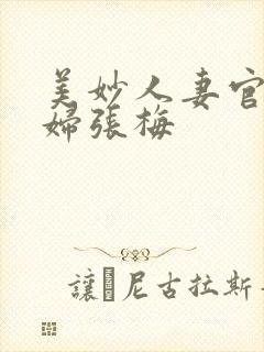 美妙人妻官场少妇张梅封面