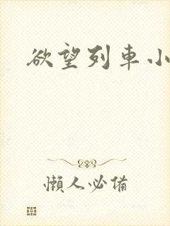 欲望列车小说封面