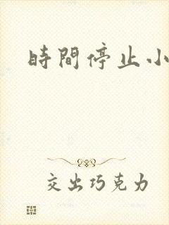 时间停止小说