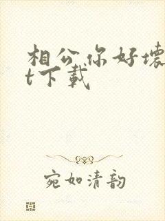 相公你好坏txt下载