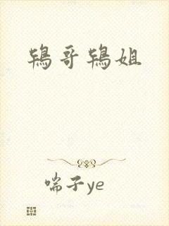 鸨哥鸨姐