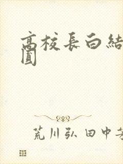 高校长白结大团圆封面