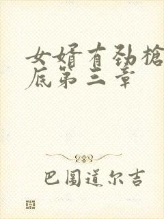 女婿有劲枪枪到底第三章