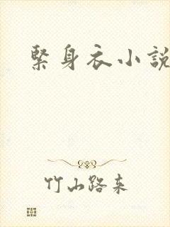 紧身衣小说