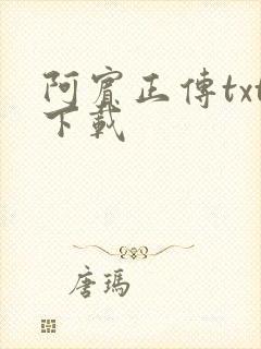 阿宾正传txt下载