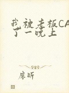 我被老板CAO了一晚上