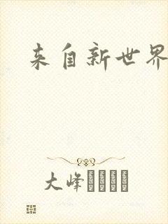 来自新世界小说