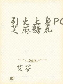 引火上身POP芝麻糖丸