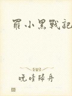 罗小黑战记小说封面