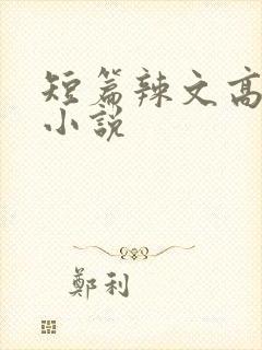短篇辣文高h文小说