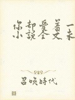 你却爱着一个他小说全文未删减免费