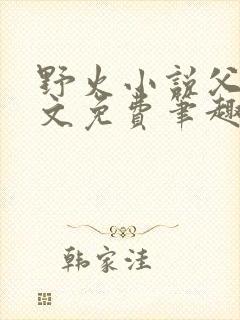 野火小说父女全文免费笔趣阁封面