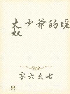 大少爷的暖床小奴