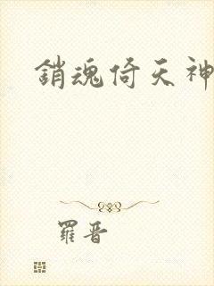 销魂倚天神雕封面