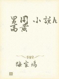 男同 小说h 高黄