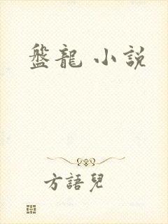 盘龙 小说