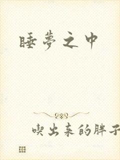 睡梦之中