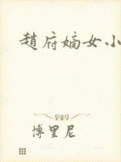 赵府嫡女小说封面