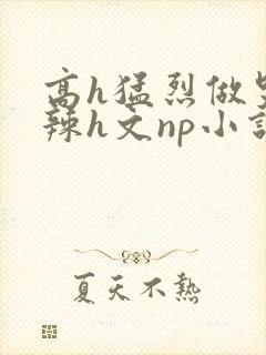 高h猛烈做哭高辣h文np小说