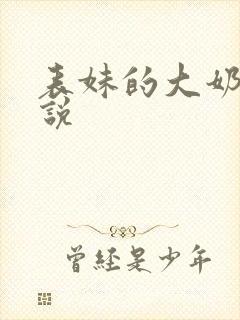 表妹的大奶子小说